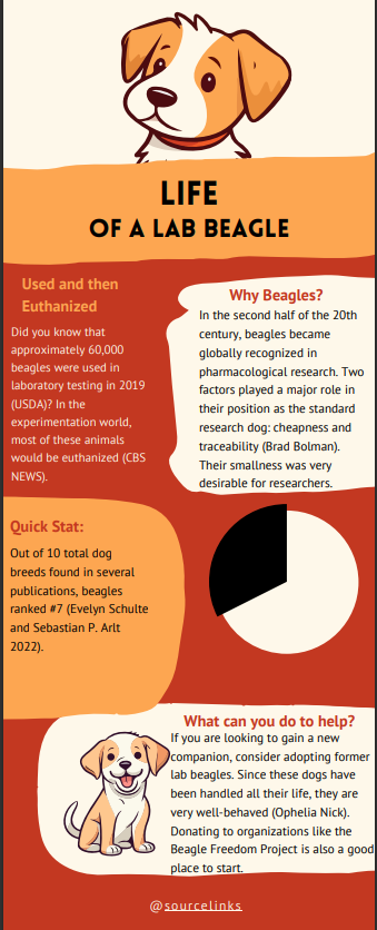 hotsphere444's tweet photo. #39canimals Infographic Update https://t.co/MekX0TyrL9