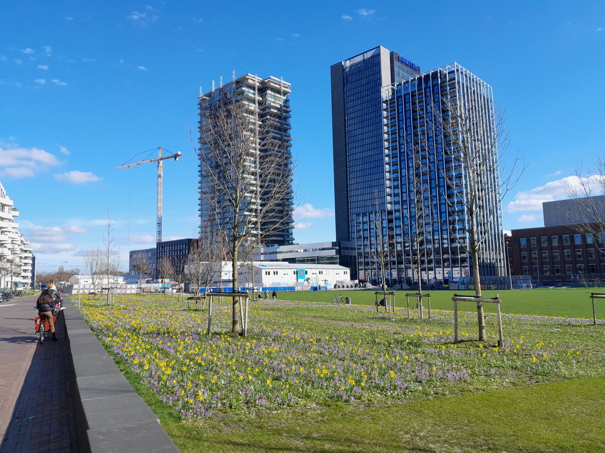 Frans Woerden tweet media