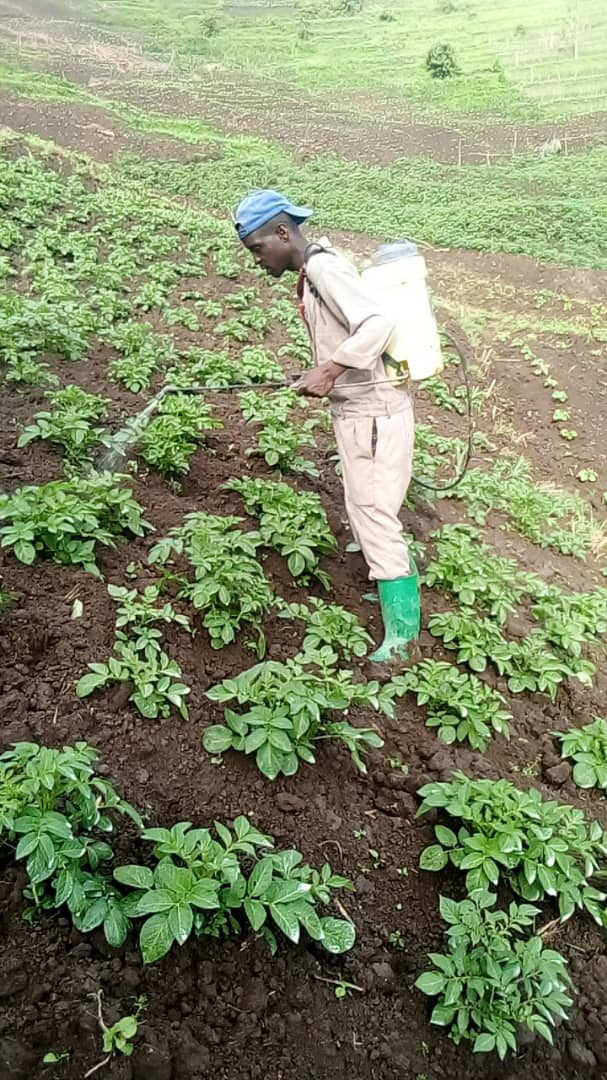 Caritas Nyundo/Gisenyi tweet media