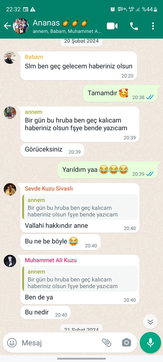 Aile grubunda ya babamın ya da benim habire attığımız "Bugün geç gelicem" mesajlarından bıkan annemin tepkisi jsjsjsjsj