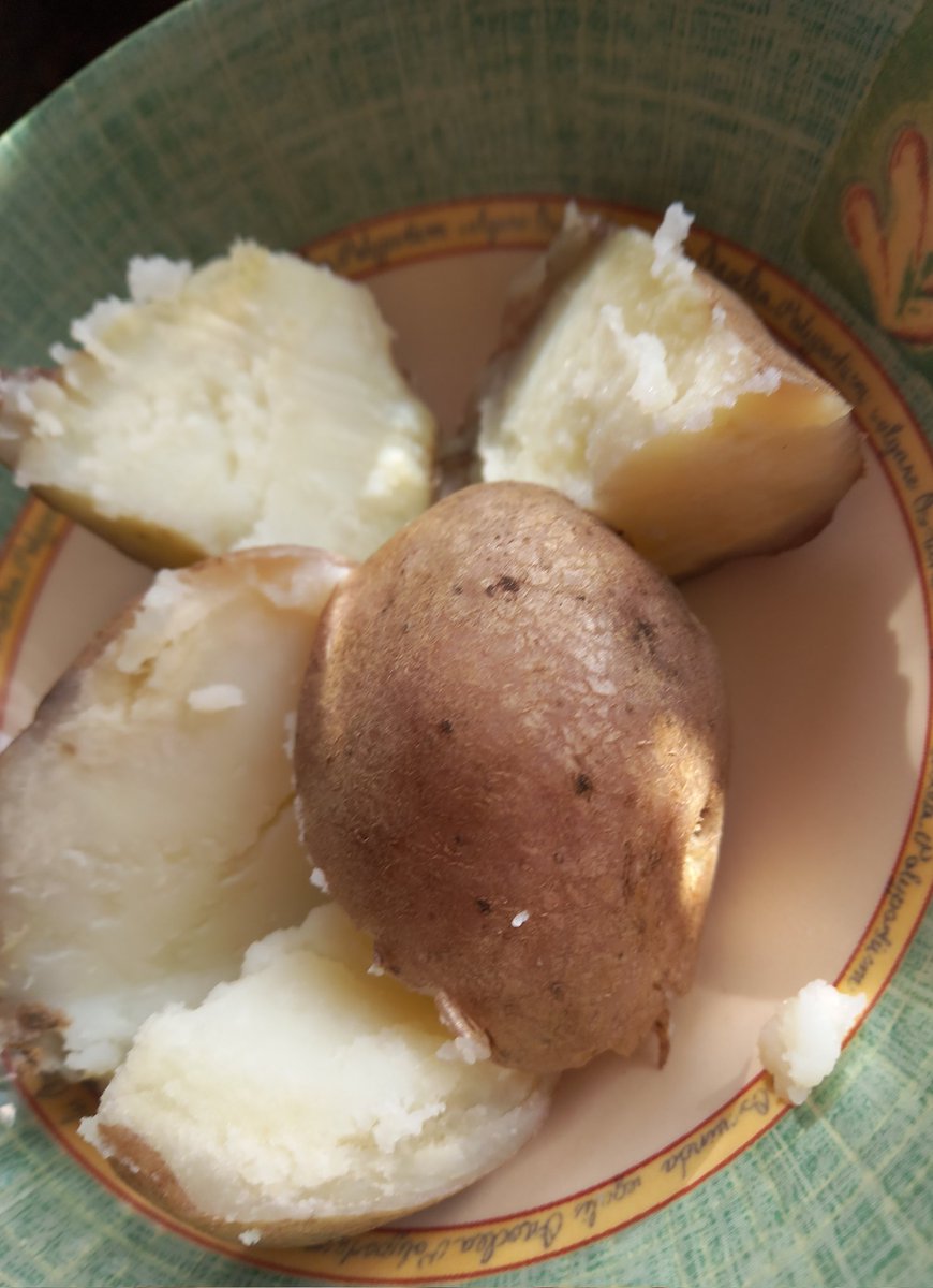 BallymakennyF's tweet photo. My next #SpudTalk is about #ArranVictory Cultivated on the #IsleOfArran in 1912, made available in 1918, named in celebration of the end of the First World War, Beautiful magenta skin with a white flesh. Very floury and not too dry. The skin is light & turns brown when cooked. https://t.co/qr1pfH9Gks