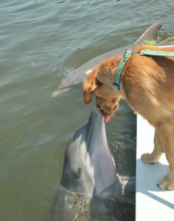 twaniimals's tweet image. 