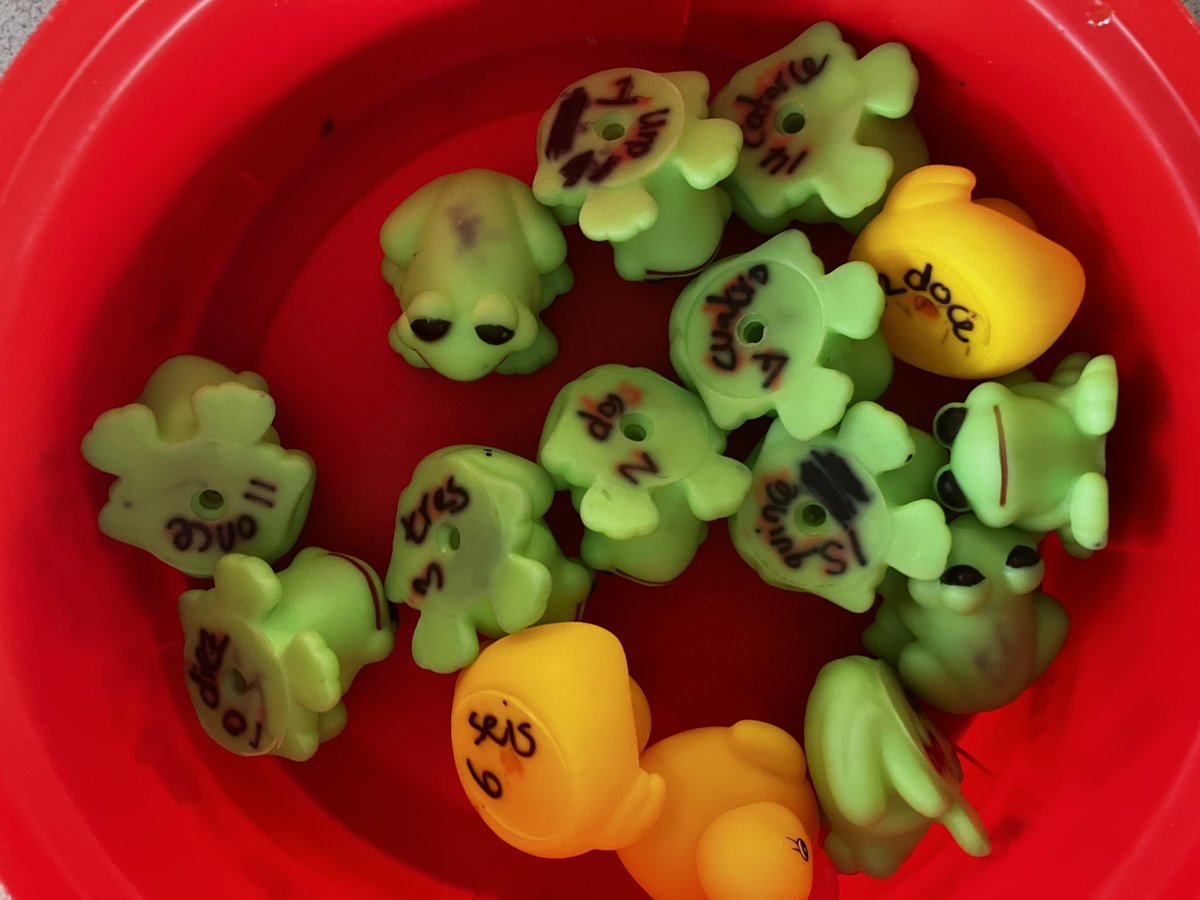 Frogs and ducks: there was a competitive atmosphere this afternoon as Y7 were competing in a translation challenge about school subjects. 🇪🇸