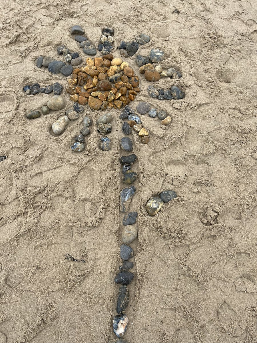 RodwellSam's tweet image. Rain did not stop play at Beach School today! #wildbeach #beachteach #outdoorfun #outdoorlearning #beachschool