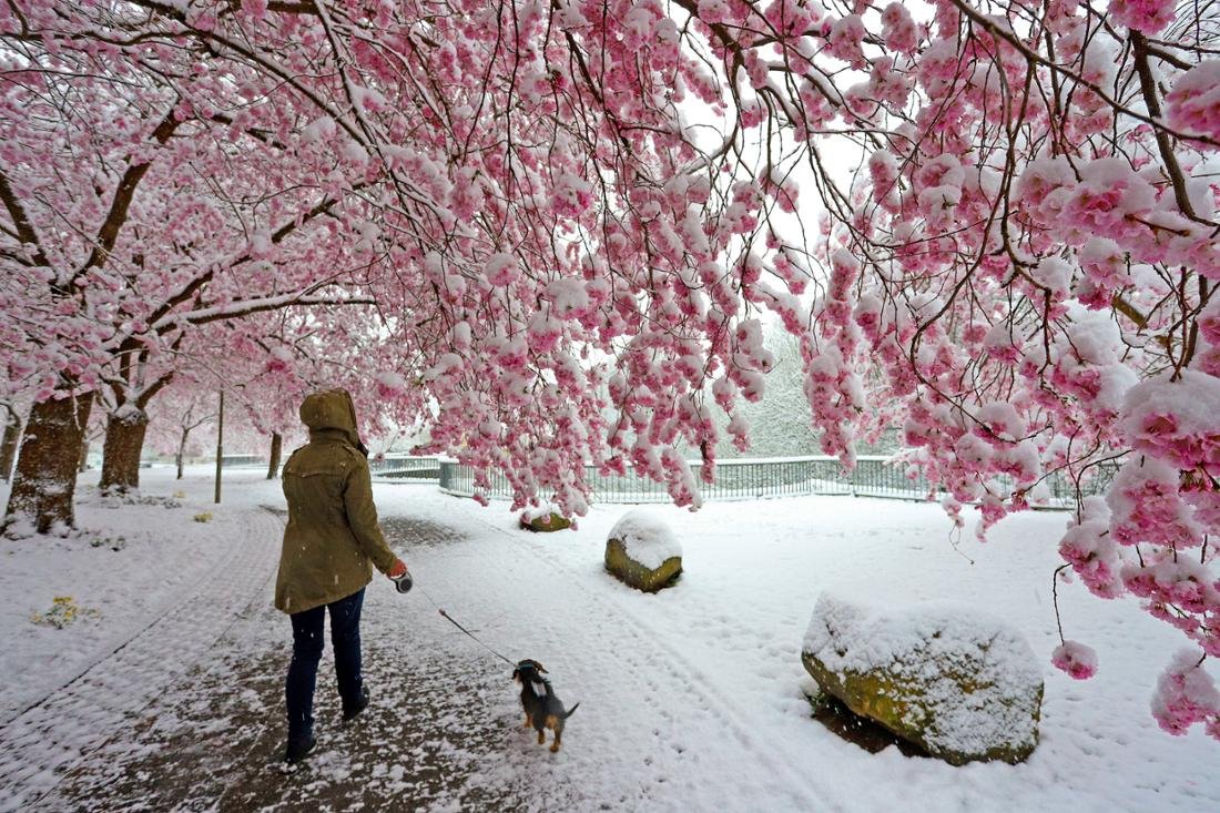 in der dritten März-Woche sollen arktische Luftmassen Deutschland erreichen 😱😱😱

und ich hab die Schneeschaufel schon im Keller verräumt 😬

merkur.de/welt/wetter-de…