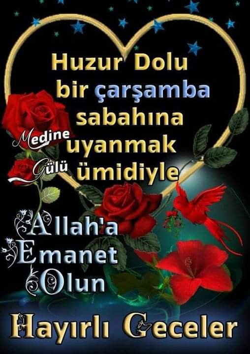Genin sahibe emanet🇹🇷 olun huzurlu geceler⏱ selam dua ile allah🇦🇪 rahatlık versin 🇹🇷☕🇹🇷