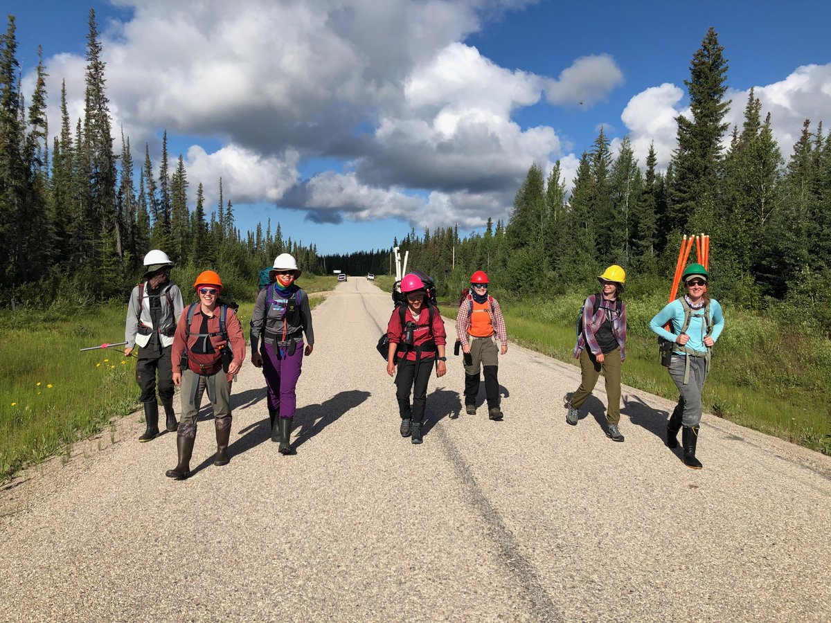 We are still looking for summer field assistants to work on wildfire related questions in the NWT & Yukon. These are paid positions with all travel costs covered and you get to explore pretty amazing places in northern 🇨🇦with a terrific team - apply now! forestecology.ca/wp-content/upl…