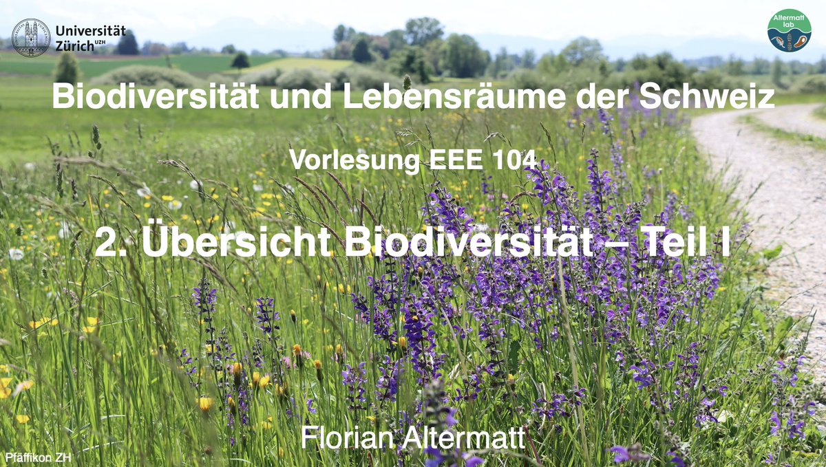 Florian Altermatt @florianaltermatt.bsky.social (@altermatt_lab) on Twitter photo Neues Semster, neuer Kurs: #Biodiversität & #Lebensräume der #Schweiz <a href="/UZH_Science/">UZH Science</a>
Studiengang biodiversitaet.uzh.ch
100+ Studierende, grosse Motivation allerseits.
Das sind die künftigen Biodiverssitätsexpert:innen! Grosser Bedarf seitens Praxis, z.B. <a href="/bafuCH/">BAFU - OFEV - UFAM - FOEN</a> <a href="/KantonZuerich/">Kanton Zürich</a> Neues Semster, neuer Kurs: #Biodiversität & #Lebensräume der #Schweiz <a href="/UZH_Science/">UZH Science</a>
Studiengang biodiversitaet.uzh.ch
100+ Studierende, grosse Motivation allerseits.
Das sind die künftigen Biodiverssitätsexpert:innen! Grosser Bedarf seitens Praxis, z.B. <a href="/bafuCH/">BAFU - OFEV - UFAM - FOEN</a> <a href="/KantonZuerich/">Kanton Zürich</a>