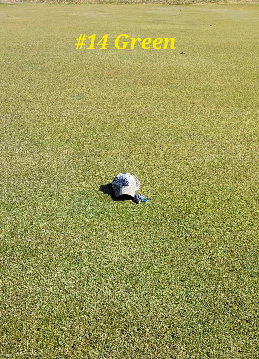 It looks like we could have an early start to the season <a href="/oaksofcobden/">Oaks of Cobden Golf</a> Conditions are looking good out there today <a href="/TheOaksTurf/">Oaks of Cobden Turf</a>  #happyturf #happysuper