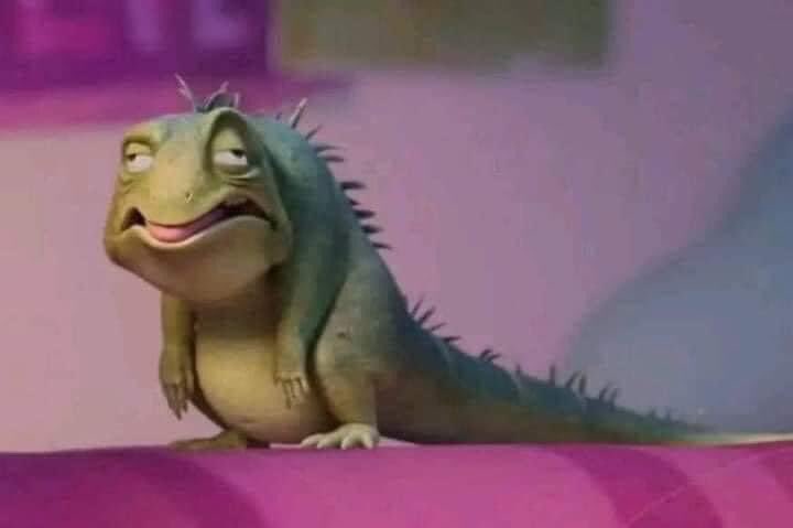 “Disfruta de la universidad, estás en la mejor etapa de tu vida”

Yo en la universidad: