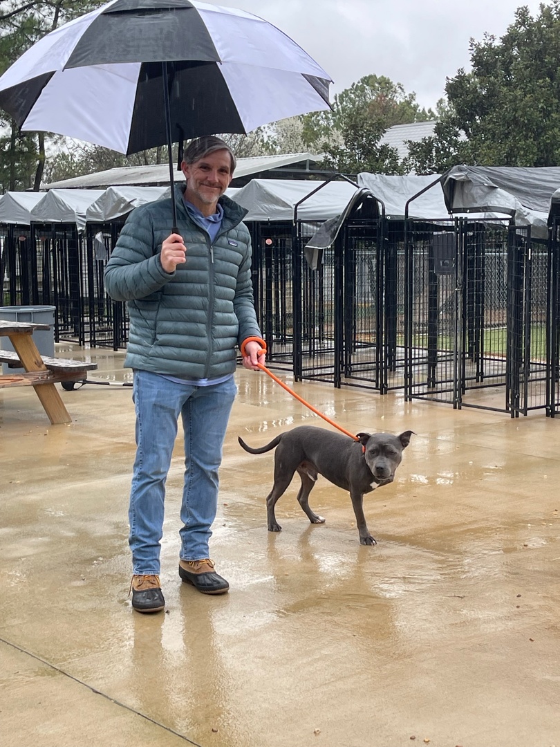 A little rain couldn't stop our Birmingham office from volunteering with <a href="/TheGBHS/">Greater Birmingham Humane Society</a> last week! The team enjoyed walking dogs, shredding newspaper, and socializing new puppies. #ThereIsABetterWay