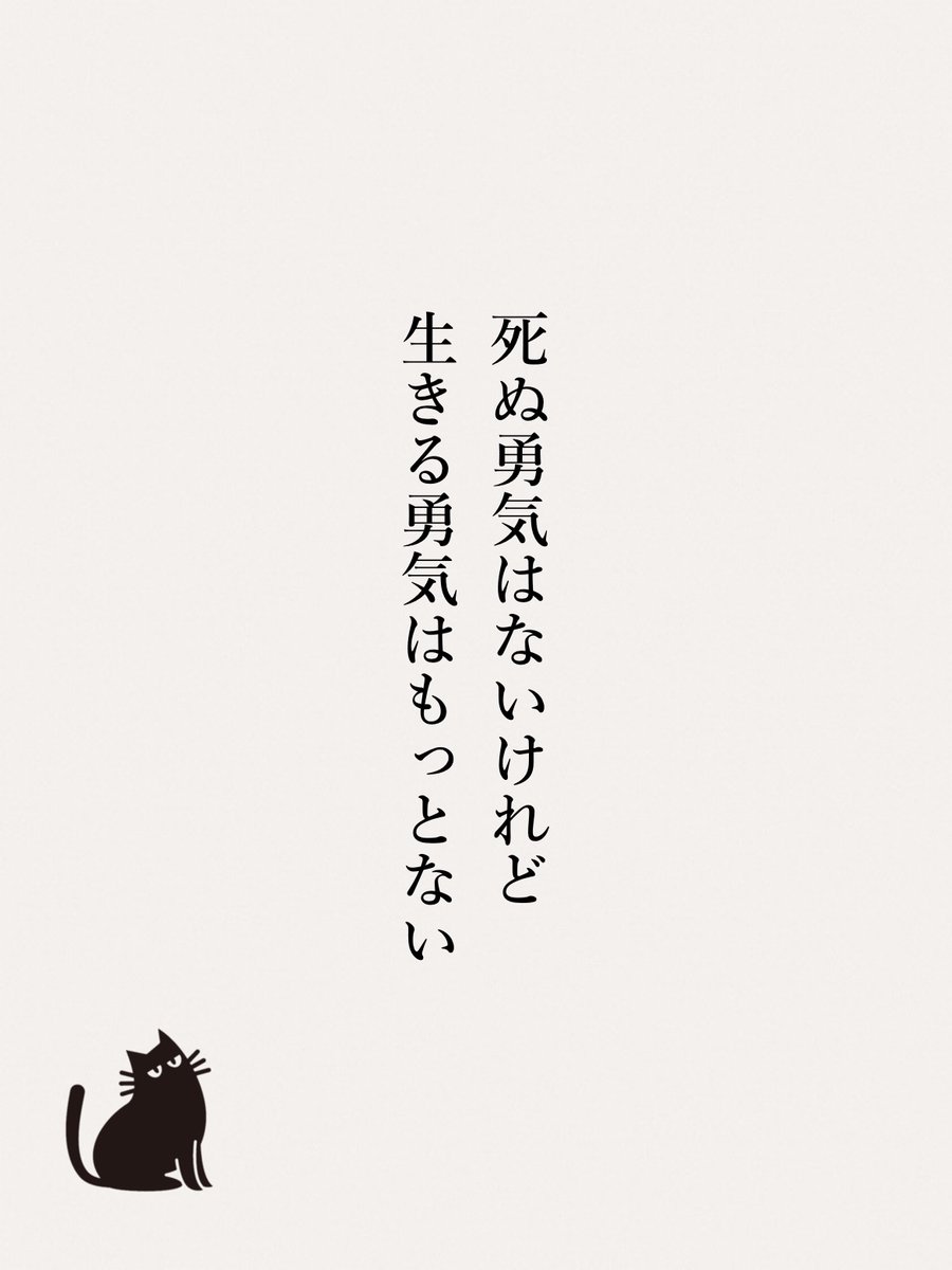 使わんくなったトランプ □トランプ『MIXTRUMP 5ROUND Edition 』（WEB購入おまけカードつき