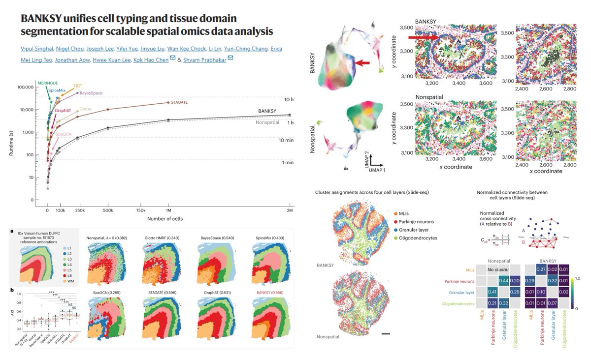 BANKSY A #SpatialOMics R/Python analysis framework using Transcriptomic Neighborhood🤠(Not spatial coordinates Only) 1⃣Distance-weighted mean gene expression of each cell's neighborhood 2⃣Azimuthal Gabor filter▶️Gradient of gene expression in each cell's neighborhood Work with