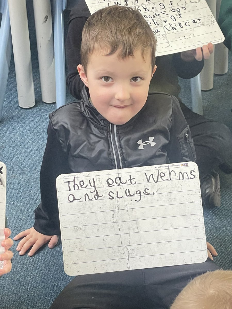 MrsPhamYear1 (@phamyear1) on Twitter photo We loved our visit from the RSPCA this morning. We learnt lots of new facts about hedgehogs and how to care for them. Then we made hedgehogs from clay. This inspired some excellent impromptu writing when we got back to our classroom. <a href="/MrsHarraway2/">Mrs Harraway</a> <a href="/CBPSA_VP/">CBPSA Deputy Headteacher</a> We loved our visit from the RSPCA this morning. We learnt lots of new facts about hedgehogs and how to care for them. Then we made hedgehogs from clay. This inspired some excellent impromptu writing when we got back to our classroom. <a href="/MrsHarraway2/">Mrs Harraway</a> <a href="/CBPSA_VP/">CBPSA Deputy Headteacher</a>