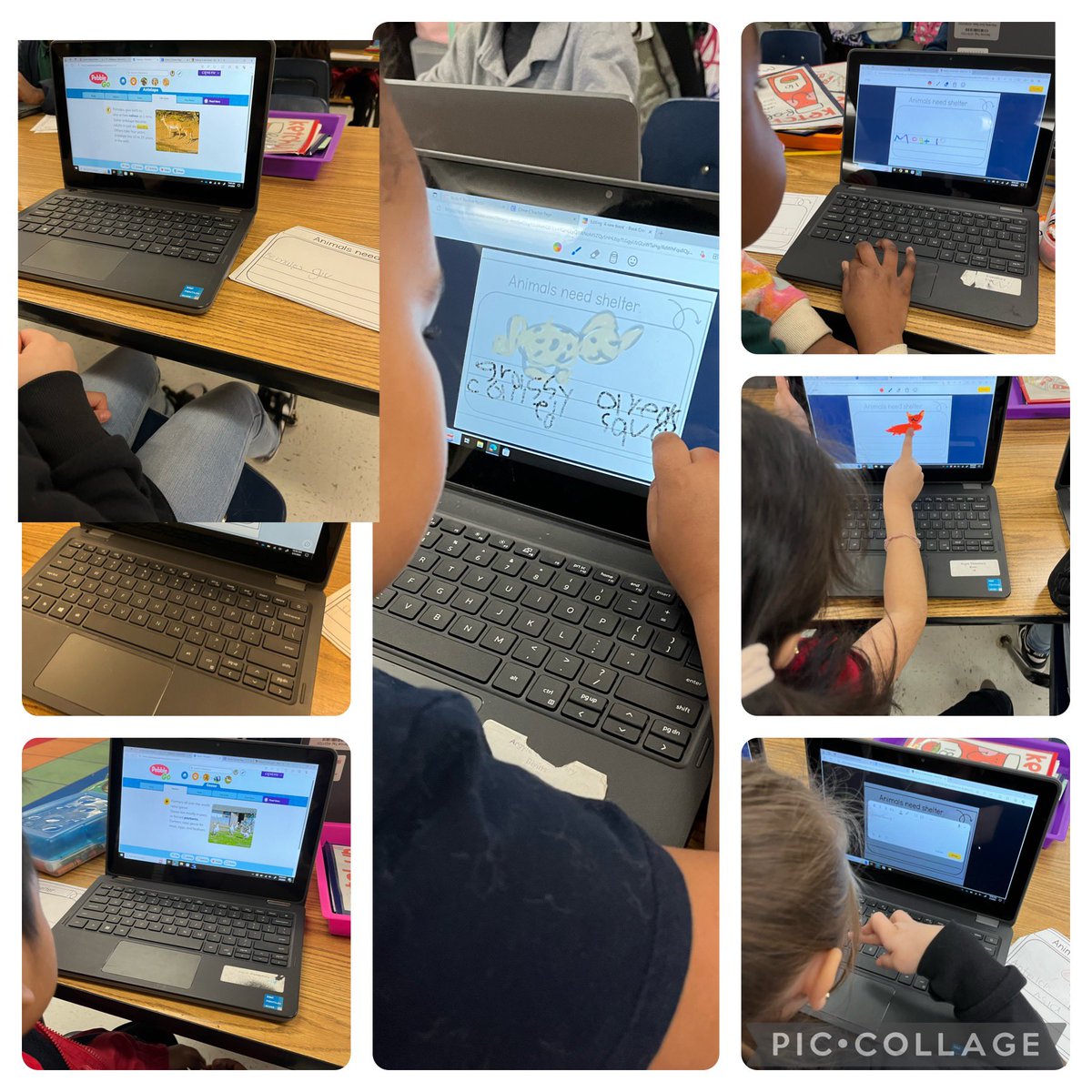 ππͺππ πππΎππ (@lynnmcgee71) on Twitter photo Ms. Murpheyβs 1st graders did a great job using their research skills and PebbleGo to gather info for their creative <a href="/BookCreatorApp/">Book Creator Team</a> animal books. <a href="/ArgyleElem/">Argyle Elementary</a> <a href="/ggette22/">Georgette Clinton</a> <a href="/GrahamLeshon/">LeShon Graham</a> #CobbInTech #EngageCobb Ms. Murpheyβs 1st graders did a great job using their research skills and PebbleGo to gather info for their creative <a href="/BookCreatorApp/">Book Creator Team</a> animal books. <a href="/ArgyleElem/">Argyle Elementary</a> <a href="/ggette22/">Georgette Clinton</a> <a href="/GrahamLeshon/">LeShon Graham</a> #CobbInTech #EngageCobb