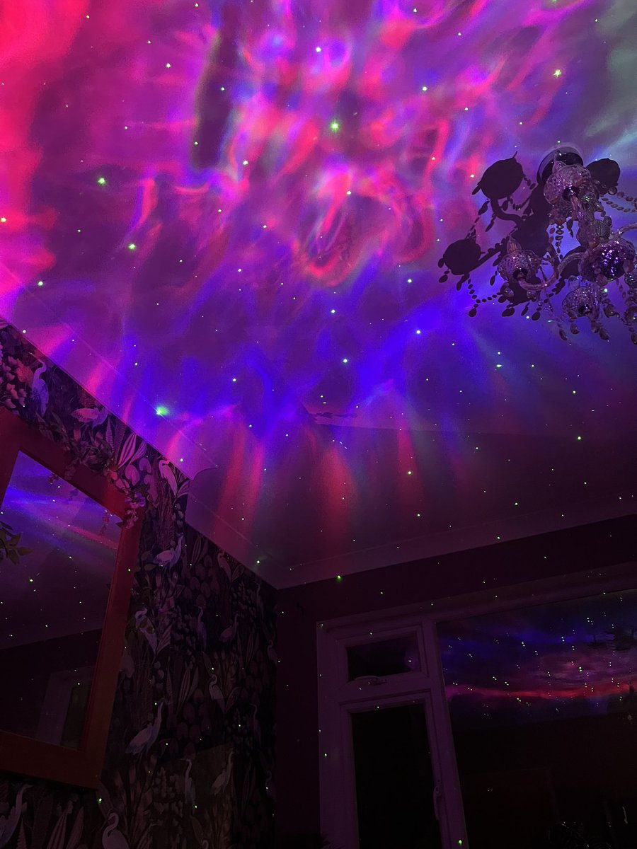 Ceridwen Eccles tweet media