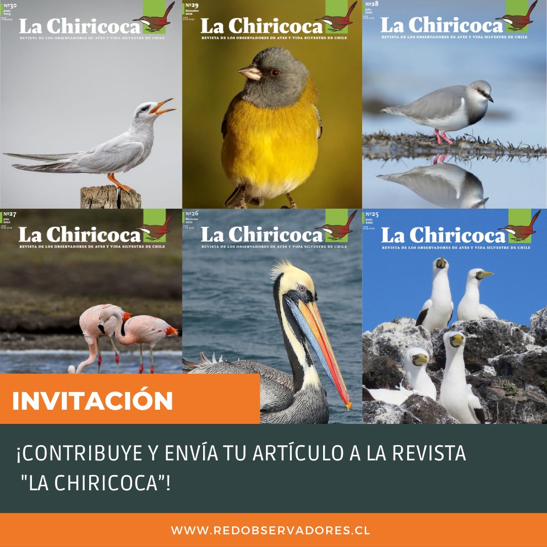 ¡Contribuye a “La Chiricoca"! Nuestro número 31 ya se encuentra en su fase de diagramación, y esperamos publicarlo en las próximas semanas 📆. Si quieres participar en el número 32 de la revista, te invitamos a enviar tu artículo es el 15 de marzo de 2024. ¡Te esperamos! 💪🏼