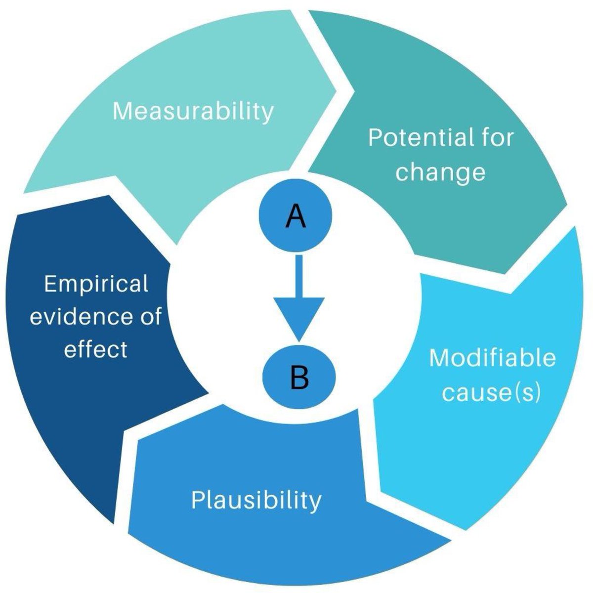 Prof Nisreen Alwan 🌻 tweet media