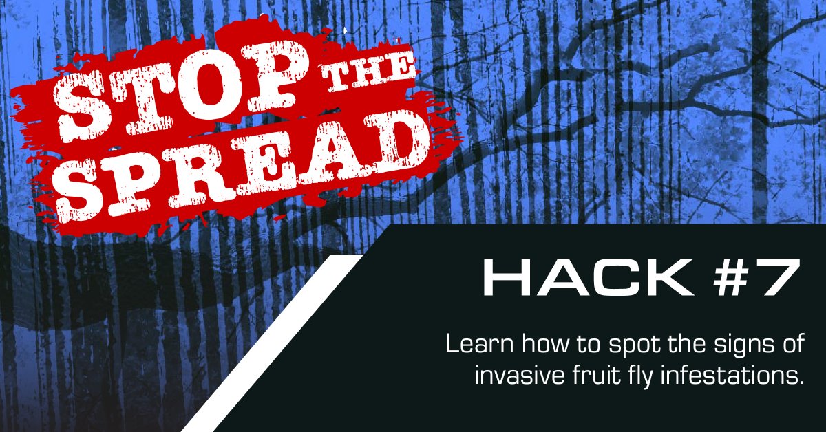 HungryPests tweet media