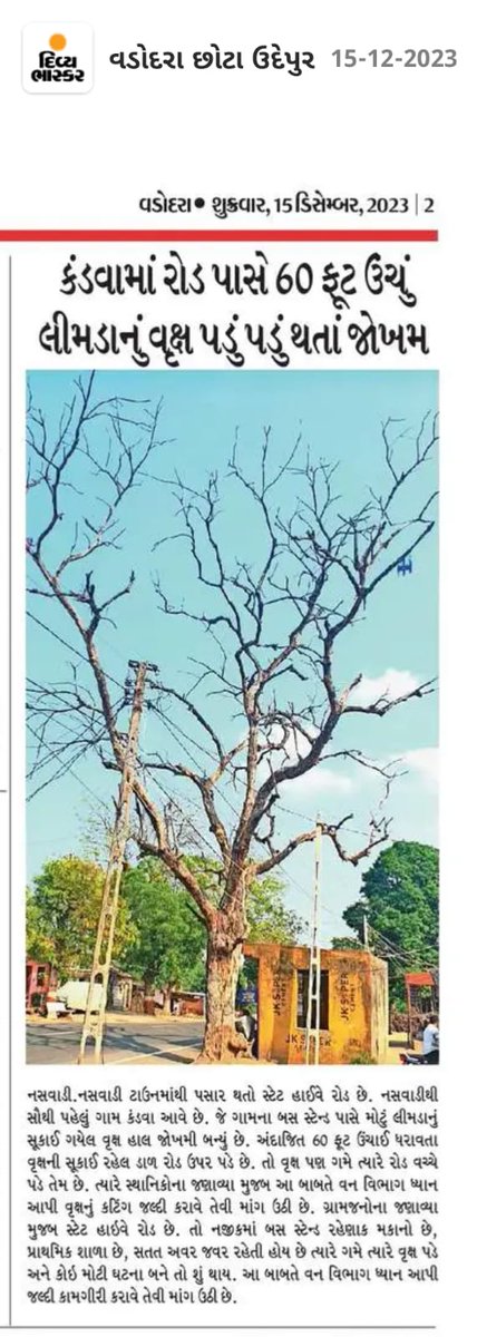 irfanmeman2's tweet image. છોટાઉદેપુર જિલ્લા તંત્ર ને ગમે તેવા આમ જનતા લક્ષી પ્રશ્ન હોય કોઈ ફરક પડતો નથી @BJP4Gujarat ના raj મા @Bhupendrapbjp @BhikhusinhjiBjp છોટાઉદેપુર જિલ્લા ના પ્રભારી આ બાબતે ધ્યાન આપો તો સારુ @GeetabenRathwa @collectorcu @sdmbodeli @CMOGuj @AmitShah વૃક્ષ ગમે ત્યારે પડે તો શુ થાય?