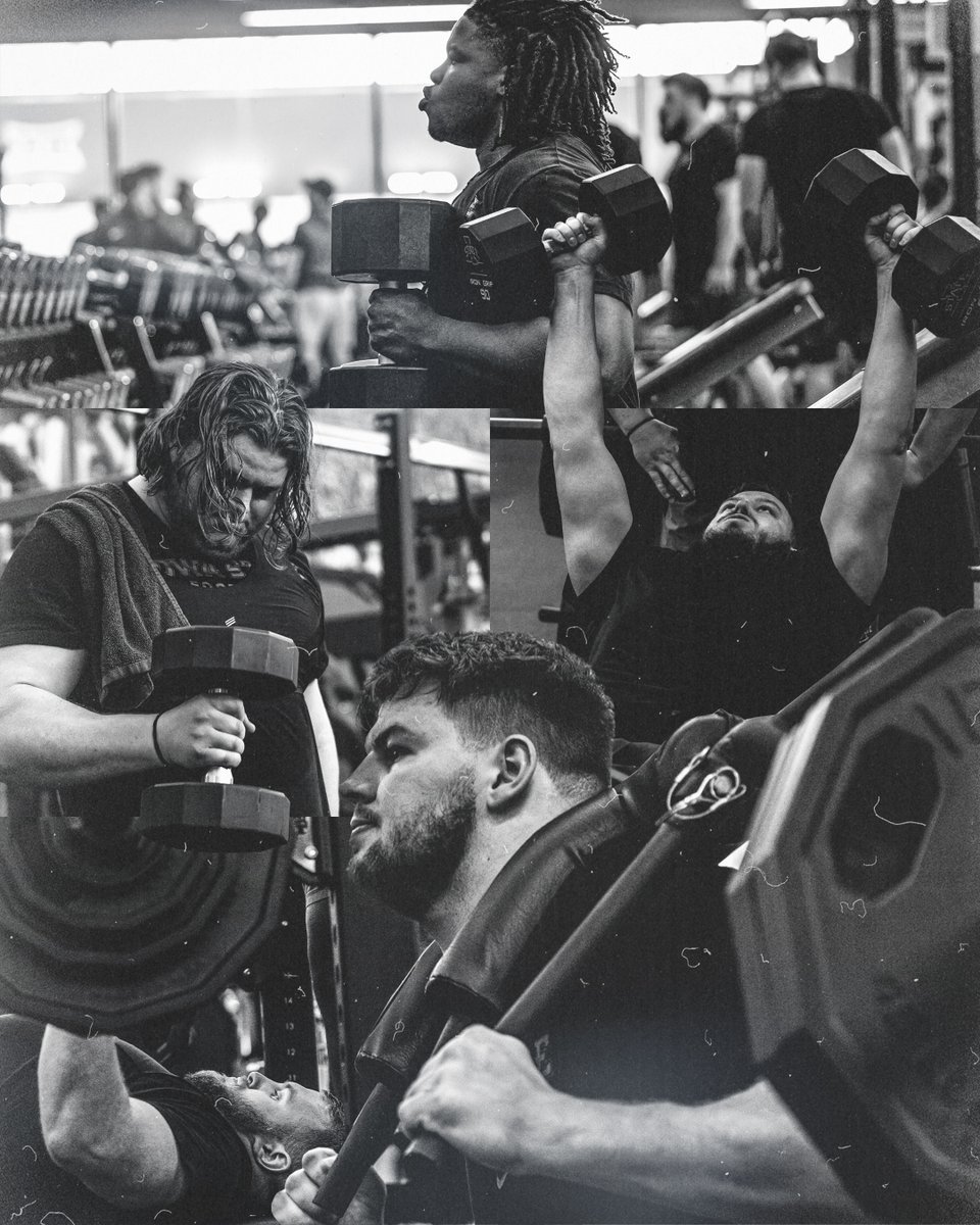 Dogs have been workin'⛓️

🌪️🚨🌪️