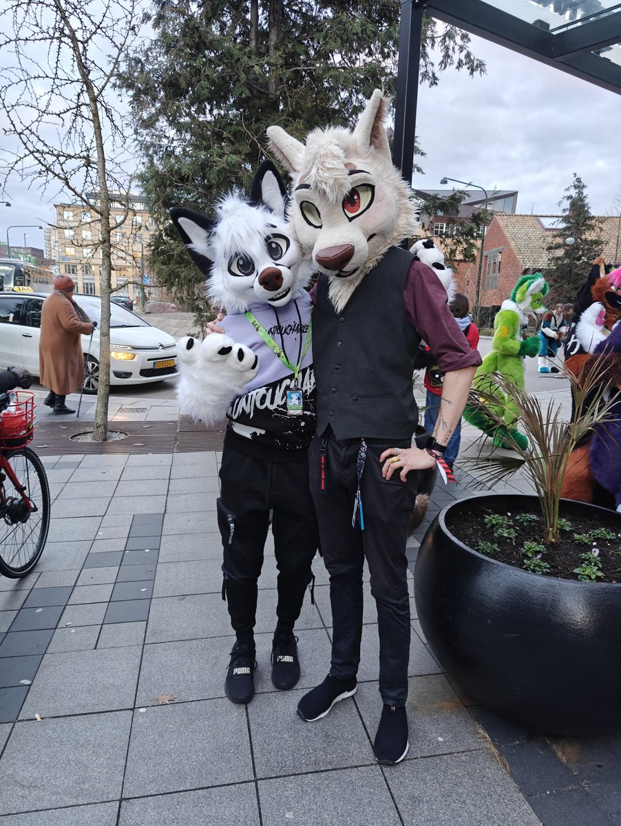 WhoYouLeastExp_'s tweet image. Don't be fooled by this good boy look 😇
When night falls @Rivothemutt knows how to let loose 🔥

🧵 @StuffedTailsFur &amp;amp; @Tuliusis
🗓️ #NFC2024