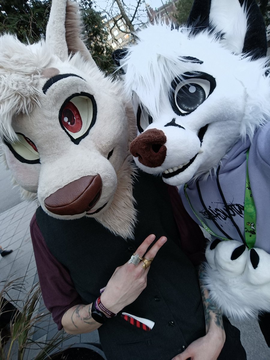 WhoYouLeastExp_'s tweet image. Don't be fooled by this good boy look 😇
When night falls @Rivothemutt knows how to let loose 🔥

🧵 @StuffedTailsFur &amp;amp; @Tuliusis
🗓️ #NFC2024