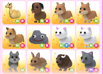 PinkRoyaltys's tweet photo. Heres some of the pets im trading for royalehigh items or diamonds :) #royalehightrading #adoptmetrading #royalehigh #adoptme https://t.co/uZDp21iYqP