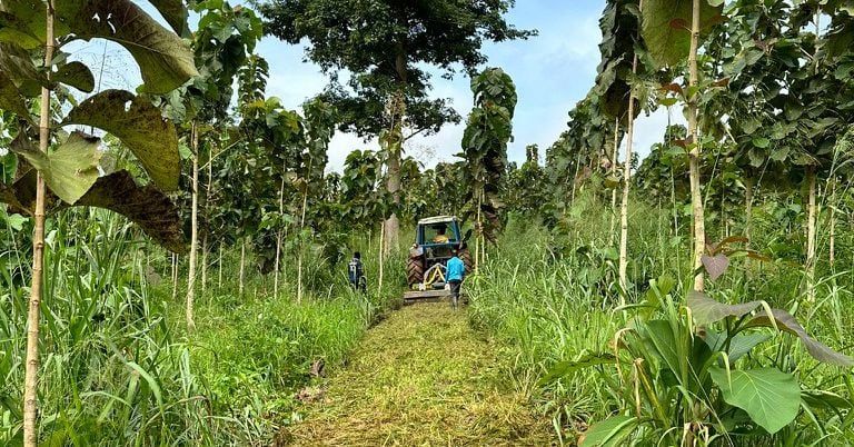 High-integrity offsets key to restoring confidence in voluntary carbon market reut.rs/3v0iOYt