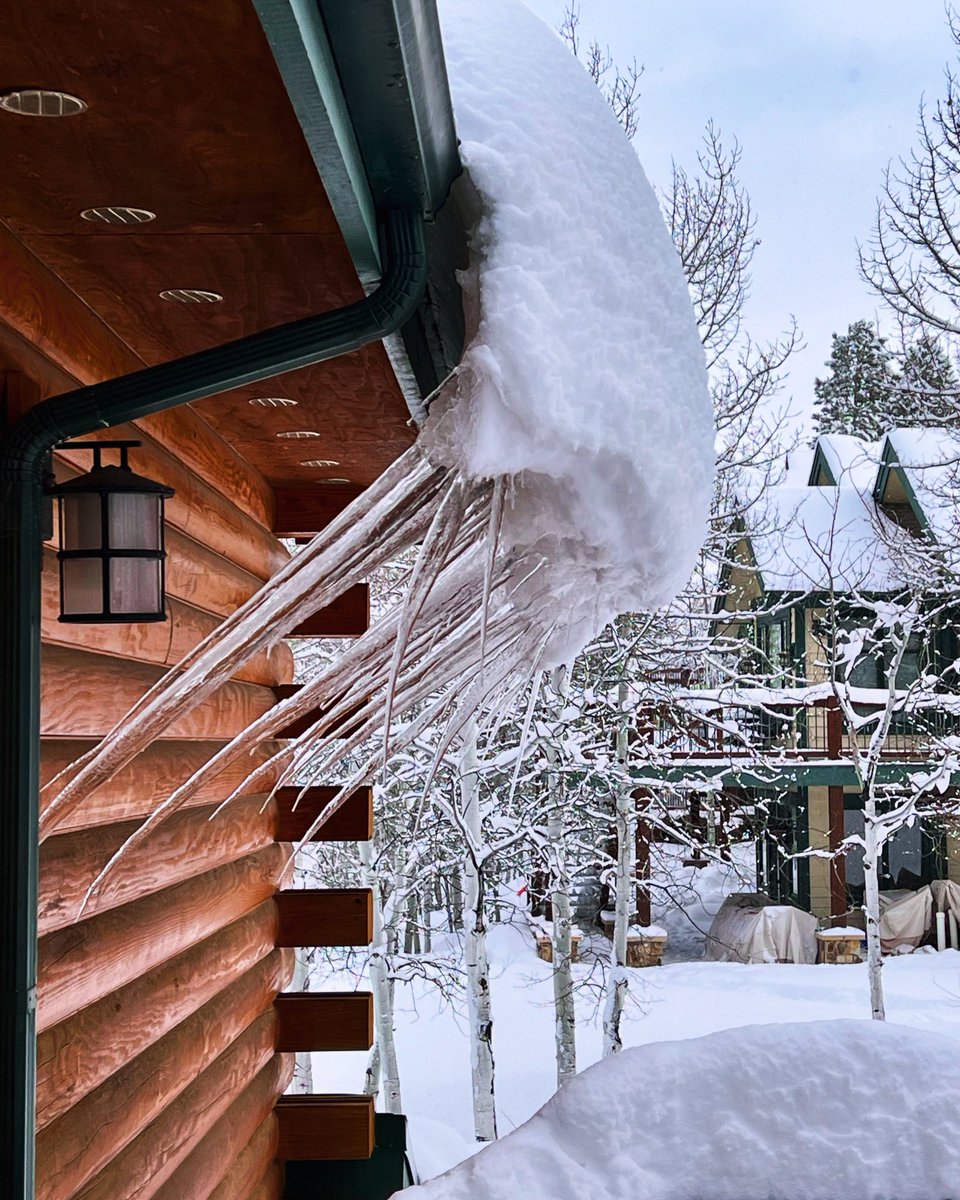 Monica_Wilcox's tweet image. Ice cycle curling season has begun. 

#Colorado #springskiing #winter