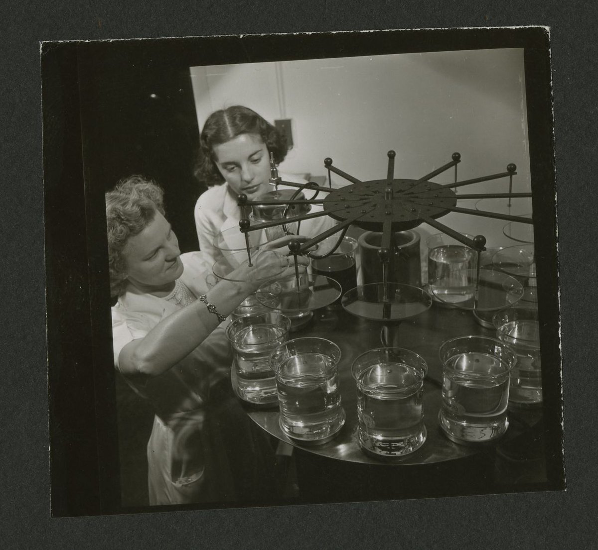 Applications are open for the Gloeckner Fellowship, a summer #fellowship in the history of women in medicine, rich, Philly-based collection buff.ly/3ve7lkt #histmed #wmnhist #STEM