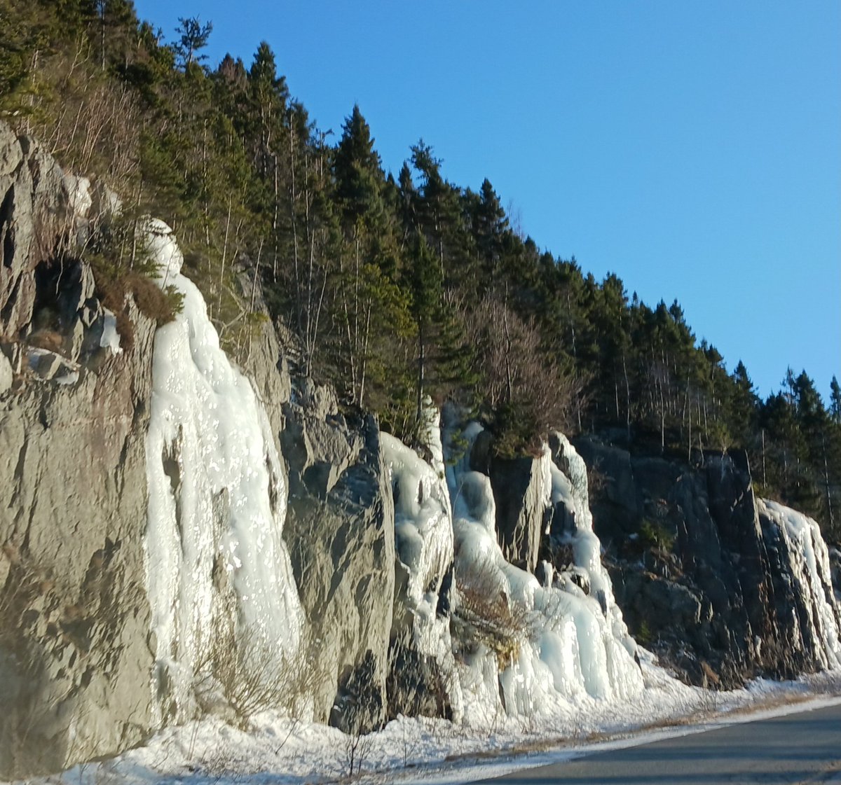 It's a sunny winter day in Plate Cove West.

#BonavistaPeninsula