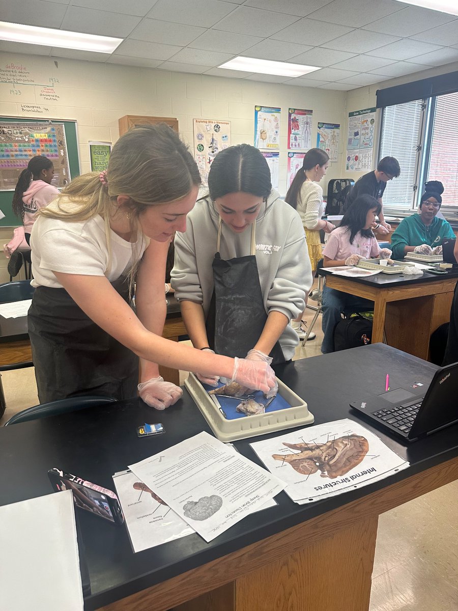 Mrs. Ingel Schmidt tweet media