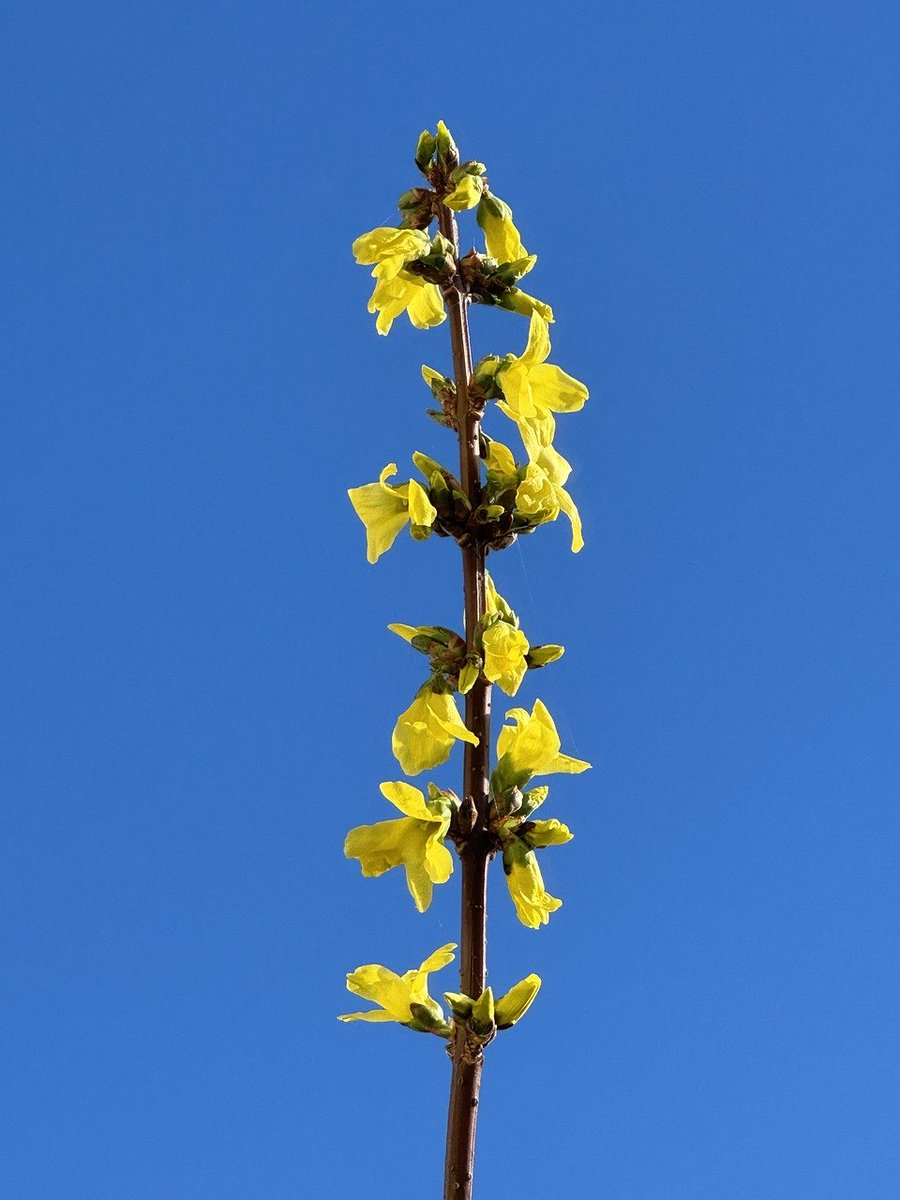 期待春暖花開