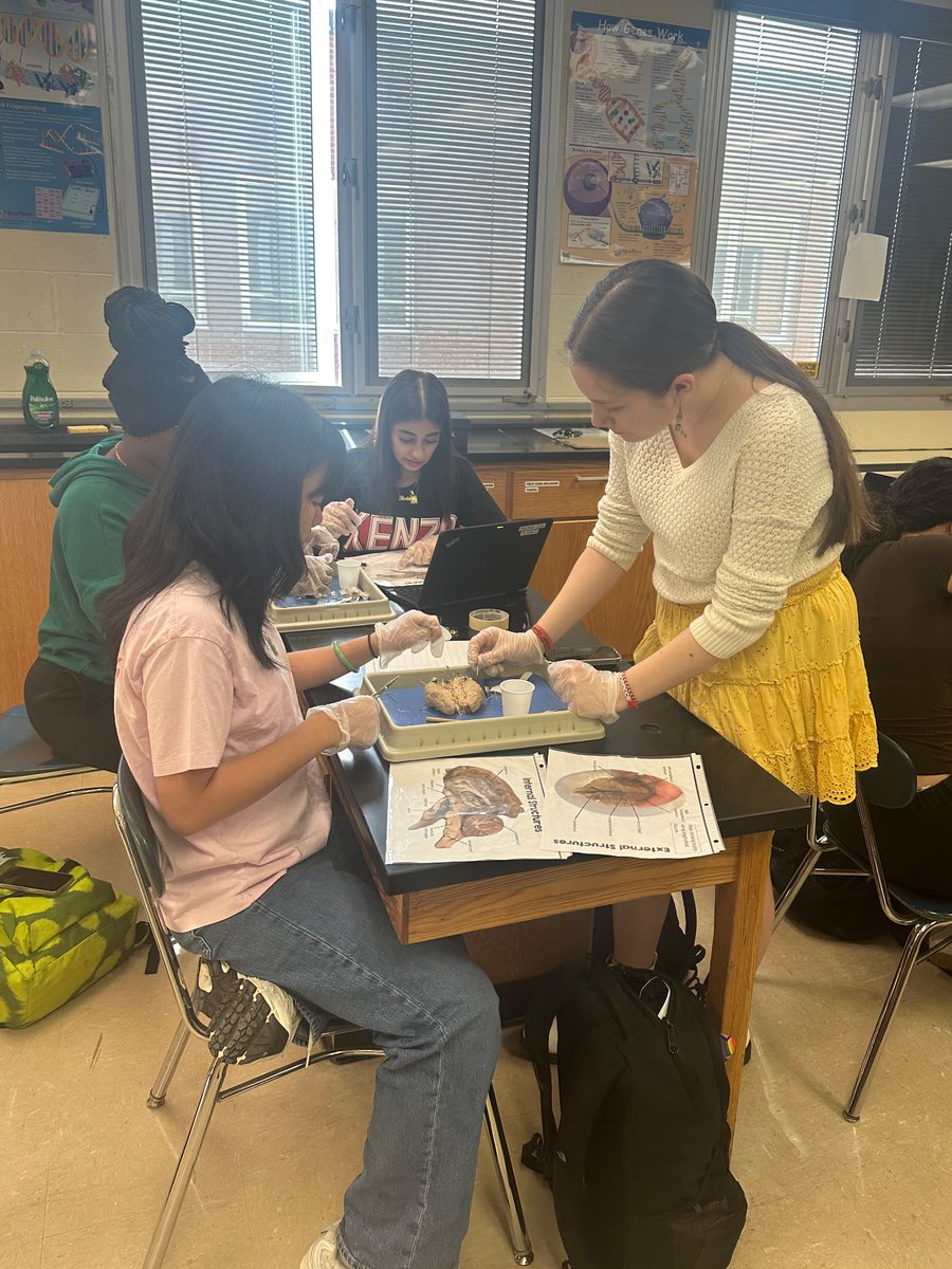 Mrs. Ingel Schmidt (@ingel_schmidt) on Twitter photo A fascinating day dissecting a sheep’s brain in our newest course - Anatomy and Physiology. <a href="/SpencerportCSD/">Spencerport Schools</a> A fascinating day dissecting a sheep’s brain in our newest course - Anatomy and Physiology. <a href="/SpencerportCSD/">Spencerport Schools</a>