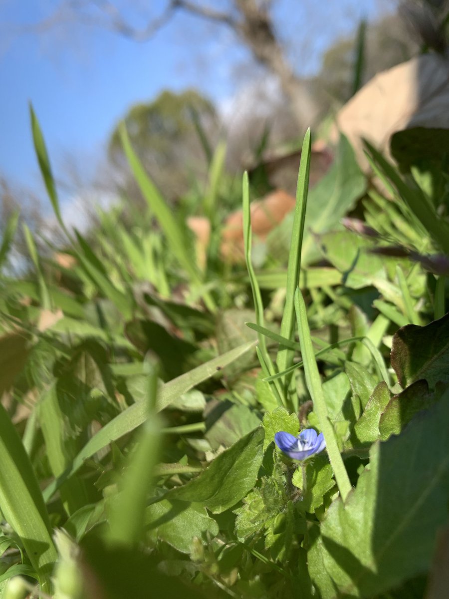 ルッコラ (@rukkora3155) / Posts / X