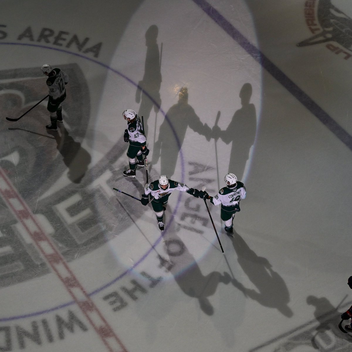 WHLsilvertips's tweet photo. Bird's eye of Bear's hands https://t.co/MkDL8tKdHx