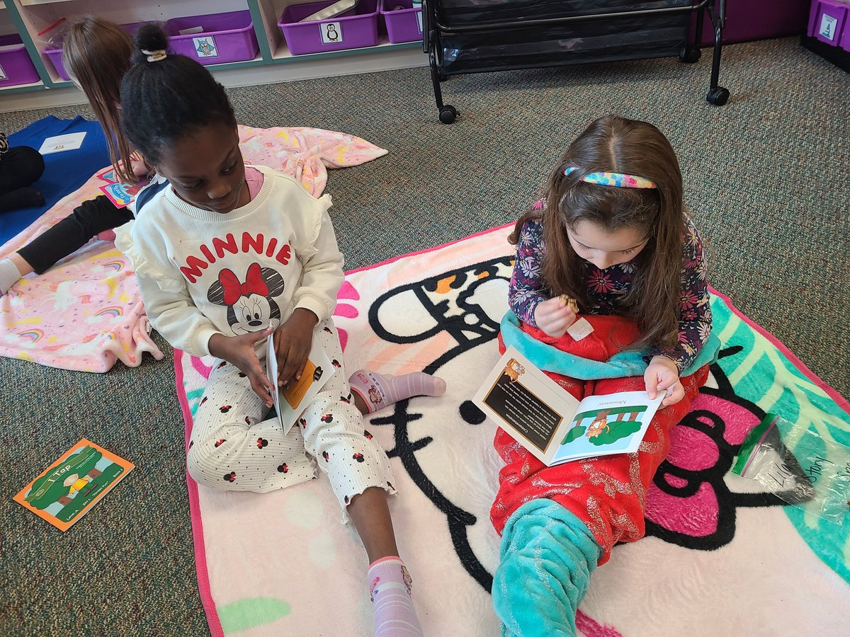 CindyNewmeyer's tweet photo. Had a book picnic to celebrate Read Across America week! Books, snacks, and cozy blankets - couldn't be better! https://t.co/xWUdN4IHGd