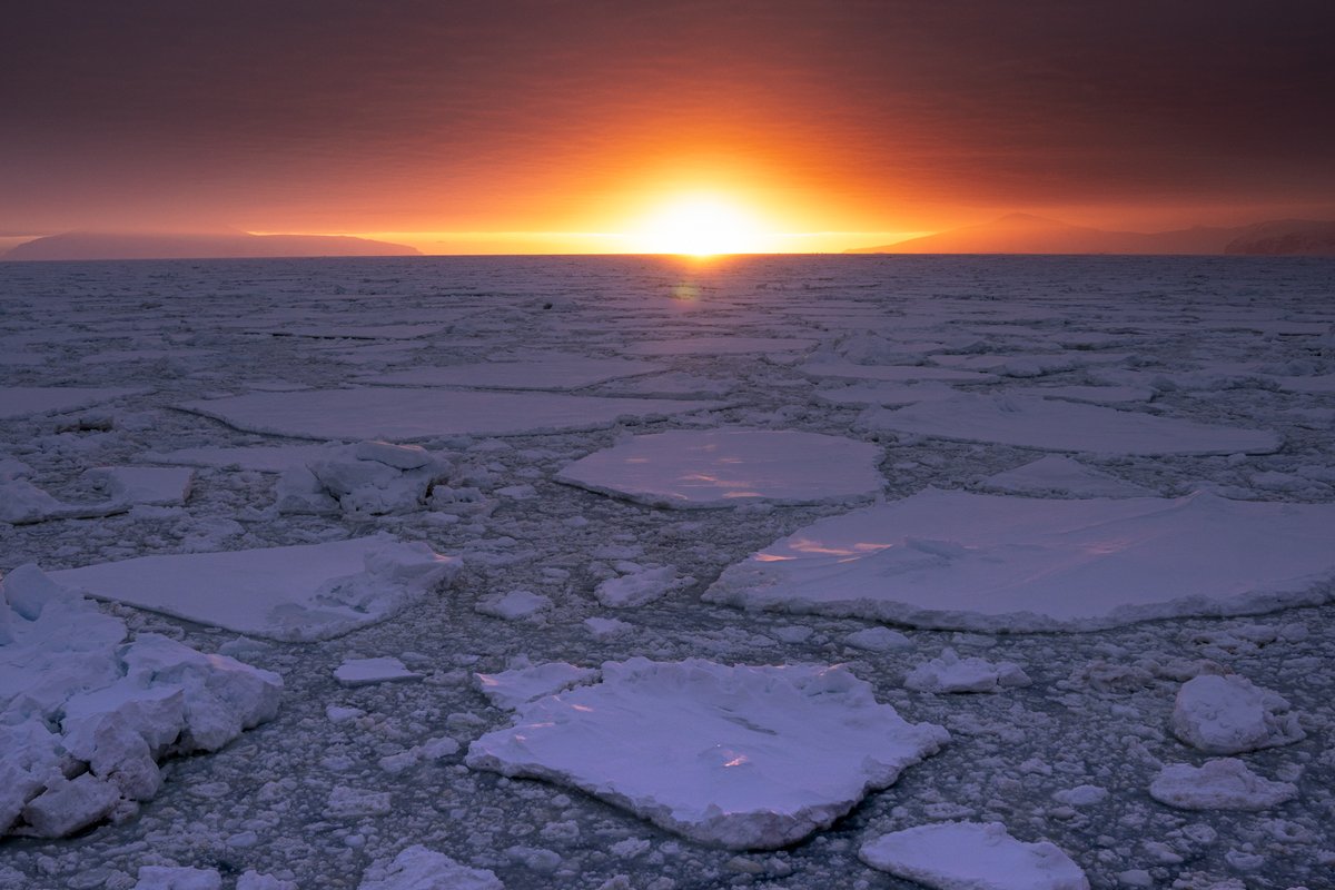 The sun has set on a successful two month Ross Sea Voyage, with the Laura Bassi returning to Lyttelton. This Italian-New Zealand collaboration sailed into the heart of Antarctica's largest sea ice factory, a critical area to study given the retreat of sea ice. 📸 Lana Young