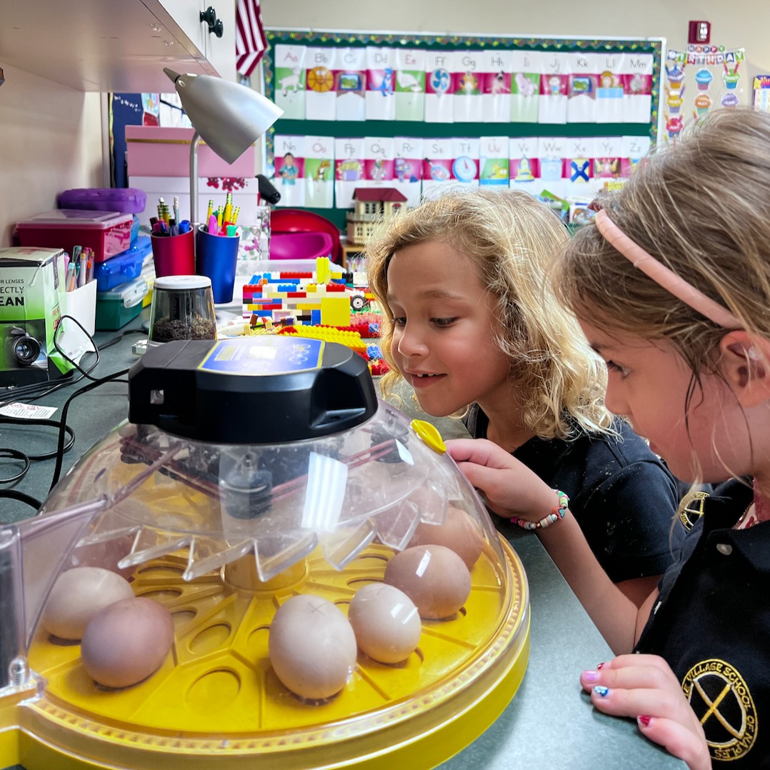 Our little explorers are on an egg-citing adventure! 🌱🥚 Join us as our kindergarteners embark on the journey of a lifetime, monitoring and journaling every step of the way as we eagerly await the hatching of our soon-to-be-feathered friends!

#KnightsForLife #DefendTheShield
