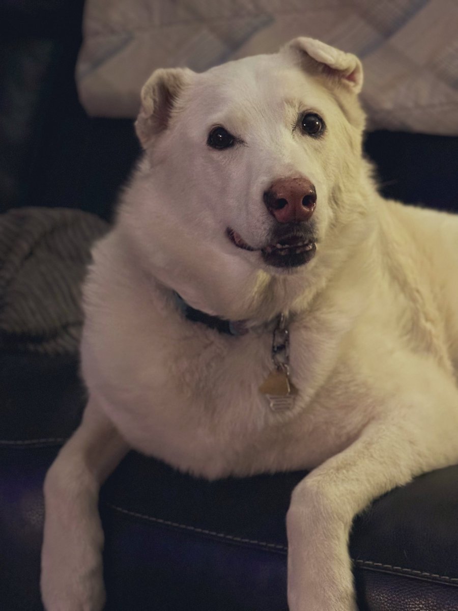 Sadie & Sophie ☀️ tweet media