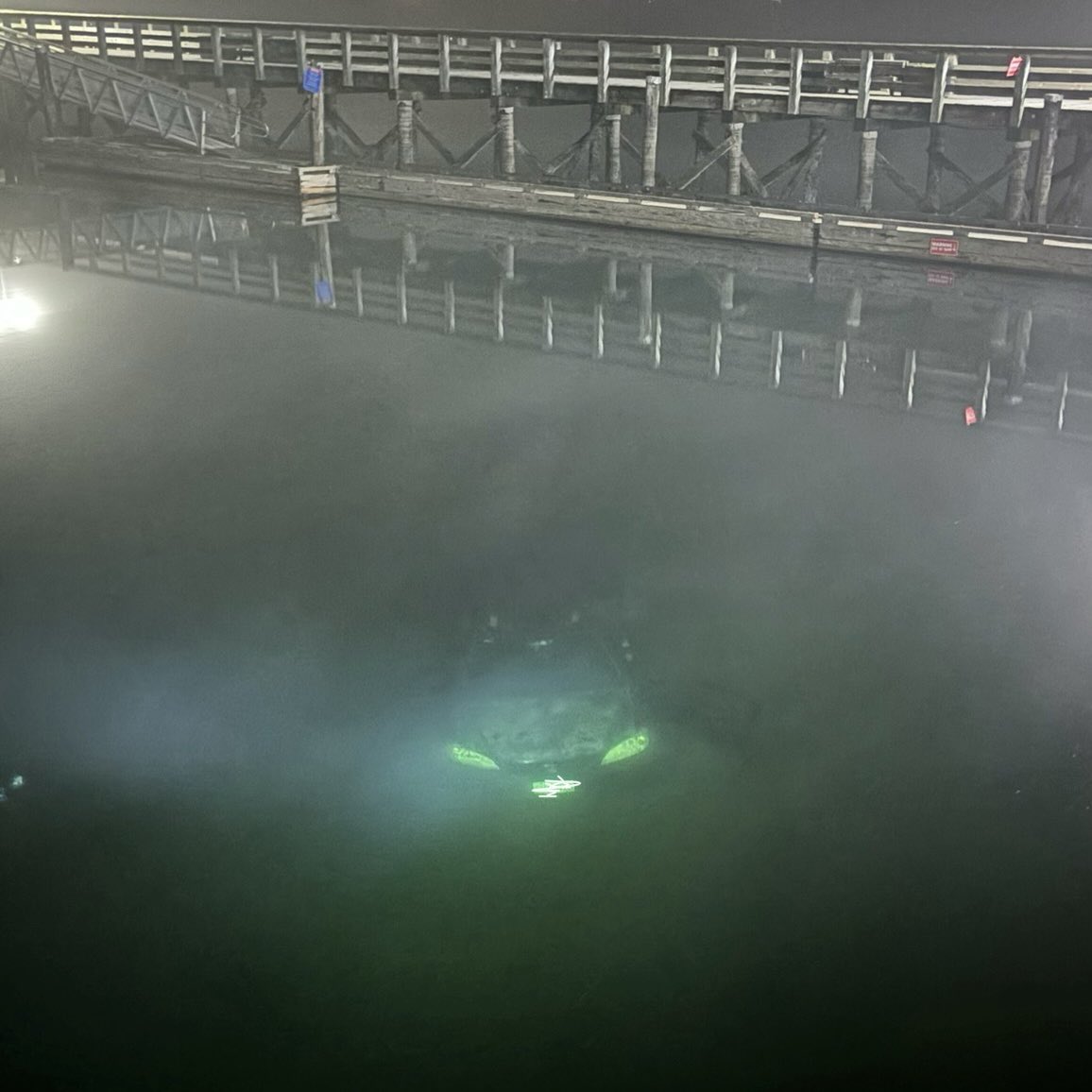 Vehicle driven into Burrard Inlet after bizarre incident last night. Read the release here: portmoodypolice.ca/vehicle-driven…
