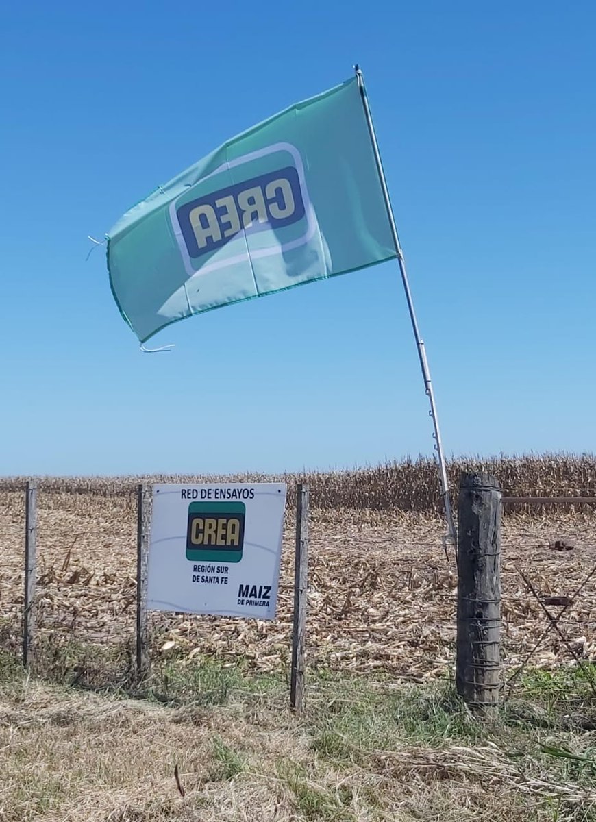 🌽 Gira Agronómica SSF. 🙌 Excelente jornada!!
📆📍 Hoy en Monte Buey.
✅ Caracterización agronomica de la campaña.
✅ Recorrida de ensayos híbridos de maíz.
✅ Aporte de valor de los Cultivos de Servicio.

<a href="/ezecornaglia/">Eze Cornaglia 🇦🇷</a> 
@amadeoveritier 
@agustinmiatello 
#somosDesab 
#Campo