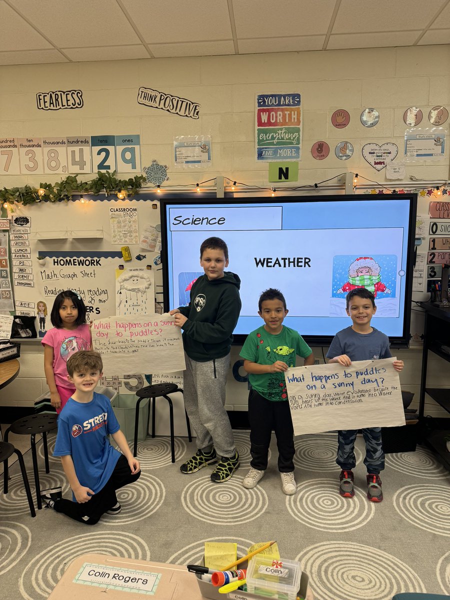 Anastasia Petridis tweet media