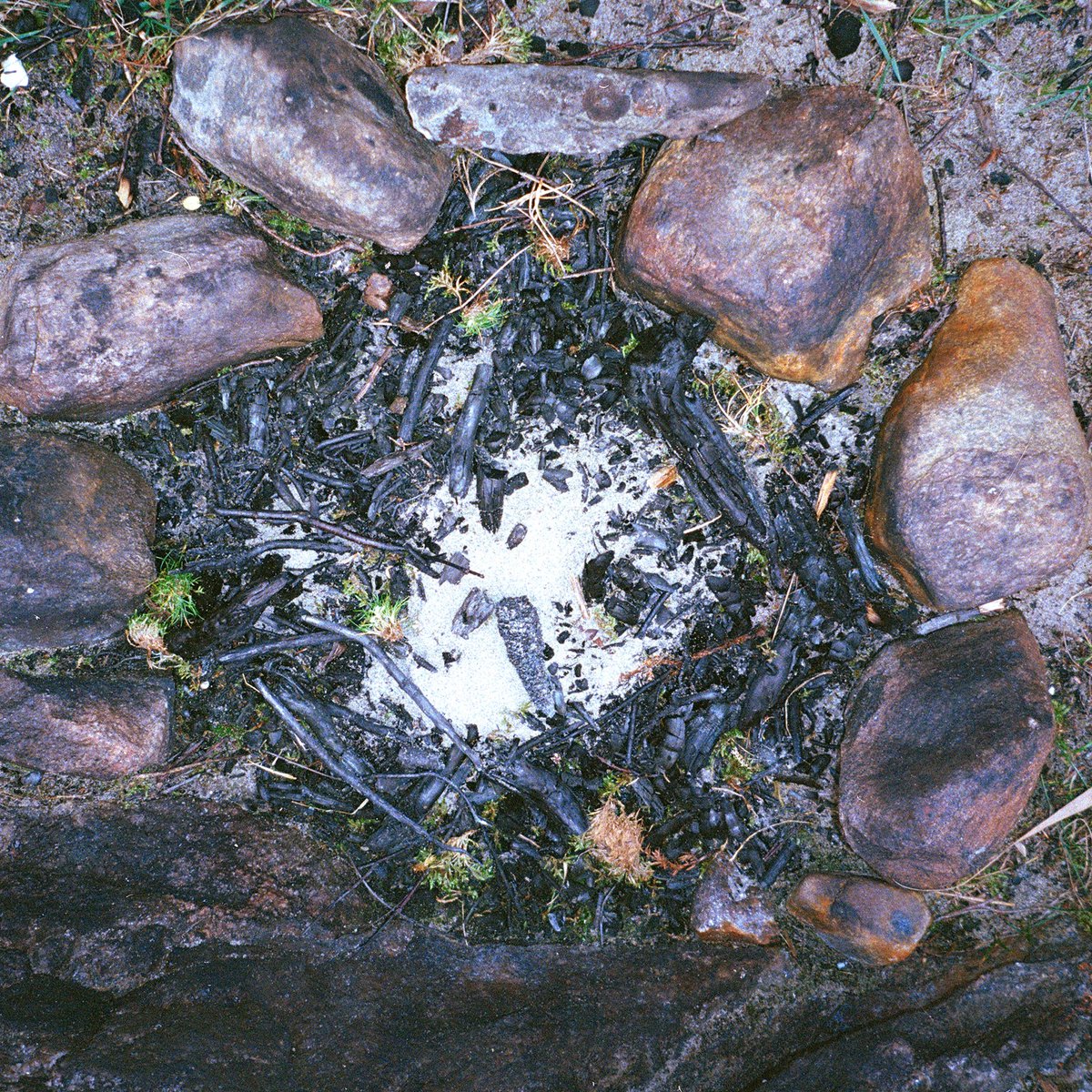 sendspaace w/ Slow Attack Ensemble

02.03.24 archived:

nts.live/shows/sendspaa…