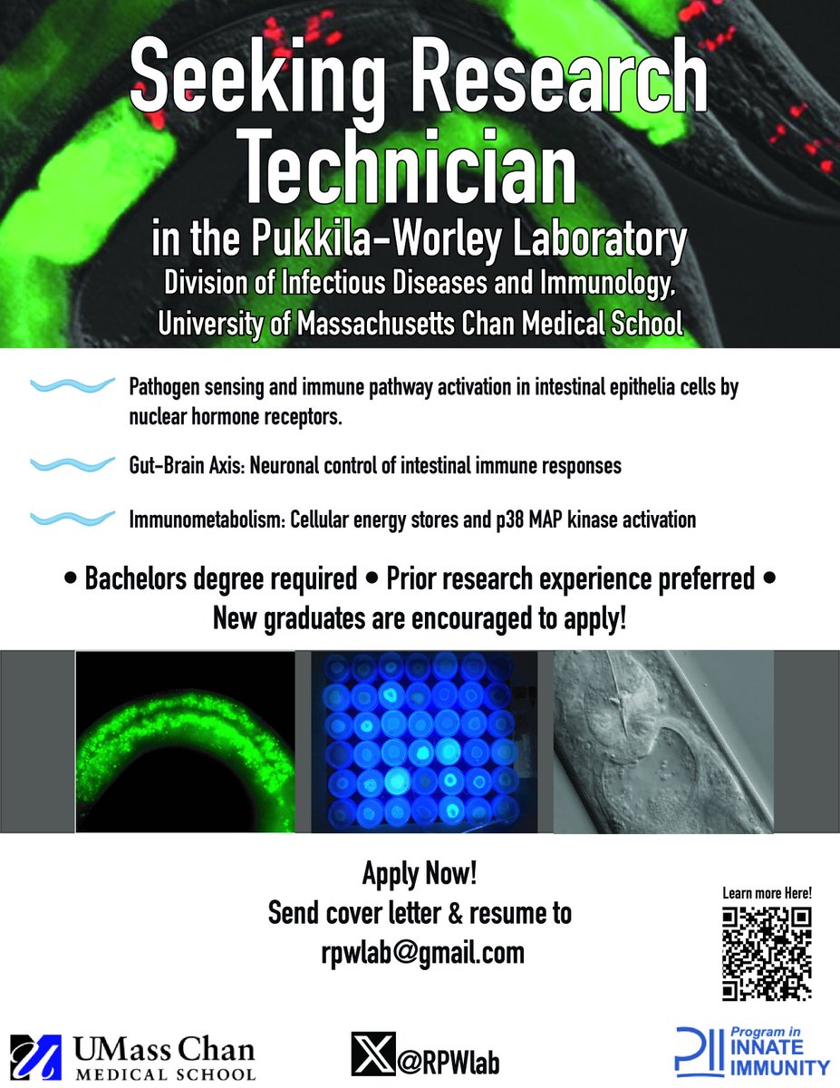 Pukkila-Worley Lab (@rpwlab) on Twitter photo New college grad? Want to go to med school or grad school? We can help you get in (we are 3 for 3) and you will make awesome discoveries about host-pathogen interactions in the process. Come join our awesome group <a href="/UMassChan/">UMass Chan Medical School</a>. See below 👇👇👇. DM with ?s New college grad? Want to go to med school or grad school? We can help you get in (we are 3 for 3) and you will make awesome discoveries about host-pathogen interactions in the process. Come join our awesome group <a href="/UMassChan/">UMass Chan Medical School</a>. See below 👇👇👇. DM with ?s