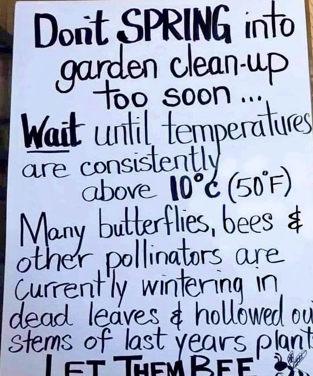 Wise words to all us wildlife/nature/growing enthusiasts 🐸🦆🍁🐌🪲🐝 but #spring is only 15 days away! @LGSpace @WaterVole @B_Strawbridge @HenCorner @Team4Nature @FriendsBCL @ThatVetSean @clothofnature @KneppWilding @VerticalVeg 🌸🌸