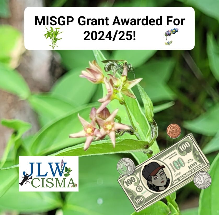 We are excited to announce that we received some funding from the MISGP grant! This grant will focus on Mile a minute weed, swallowort, and stiltgrass survey and management efforts! We will continue to host various webinars and training sessions! #misgp #funding #InvasiveSpecies