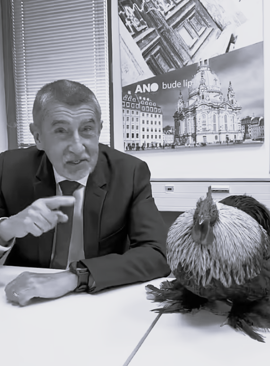 Hemoroid nadsamců
Kdyby nebyl nevzdělaný chrapoun, co nečte, nezná Čapka, Hynaise a ani zbla české, natož pak francouzské dějiny, zůstal bych na chvilku v bláhové naději, že ukrutnou trapárnou s kohoutem maskuje jinotaj. Že ptákem, jehož sjel neurolem, aby se necukal, podlézá na