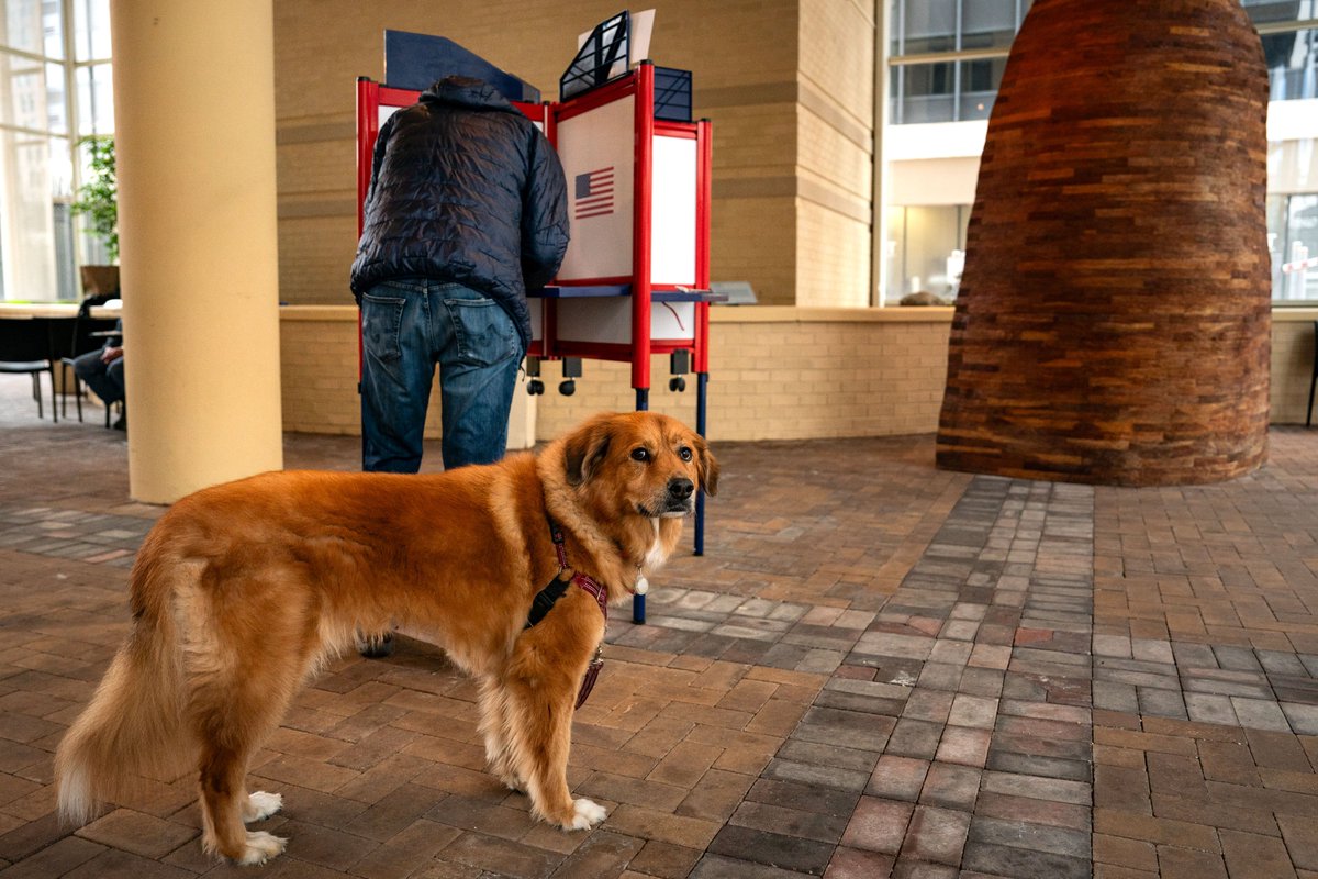 Arlington, Va.

 (Kent Nishimura/Getty Images)